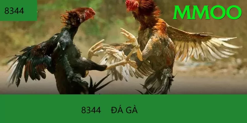 Đá Gà Trực Tiếp - Trải nghiệm tuyệt vời - Game Việt